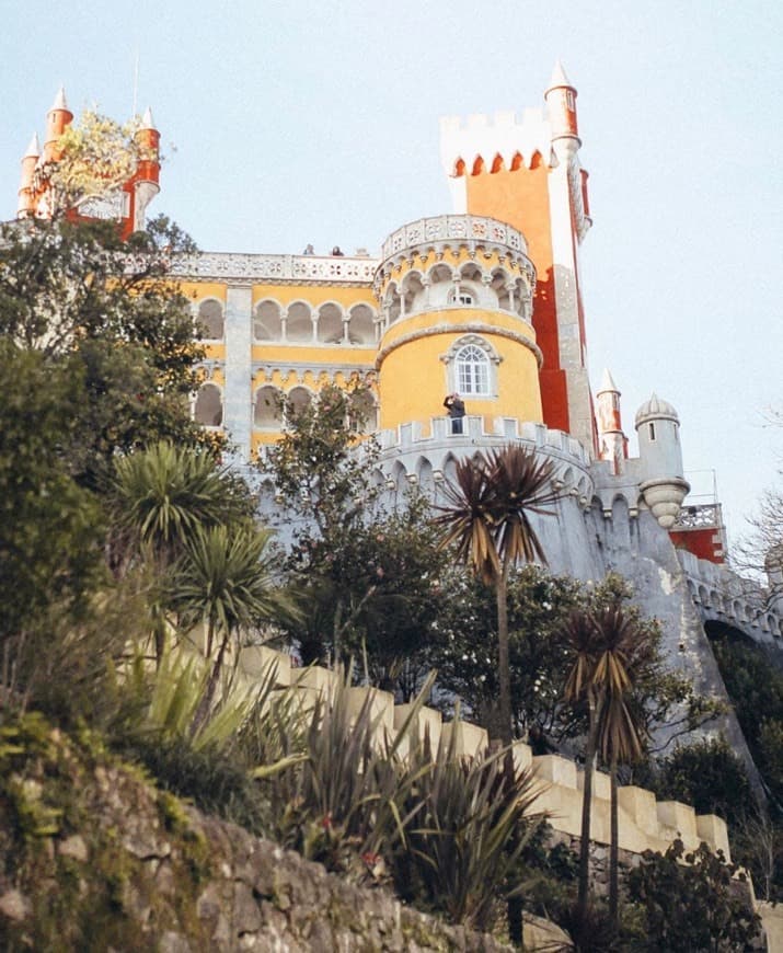 Lugar Palacio da Pena