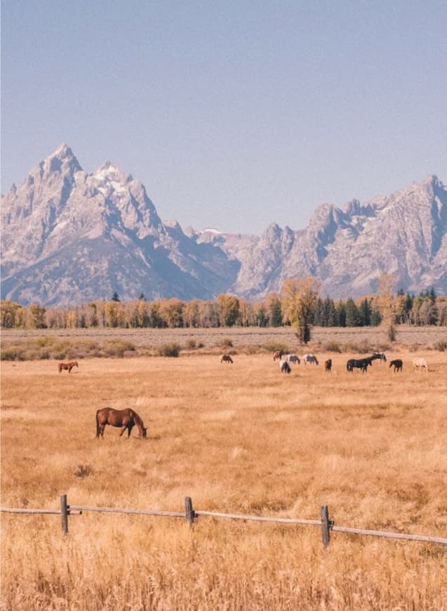 Lugar Colorado