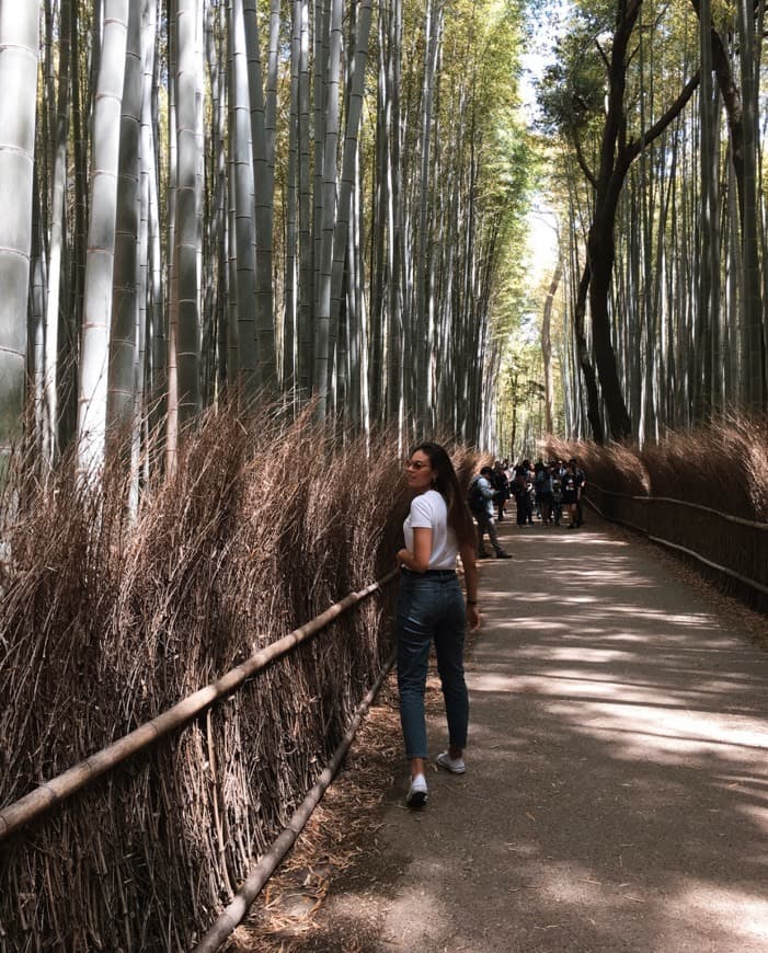 Lugar Arashiyama Bamboo Forest