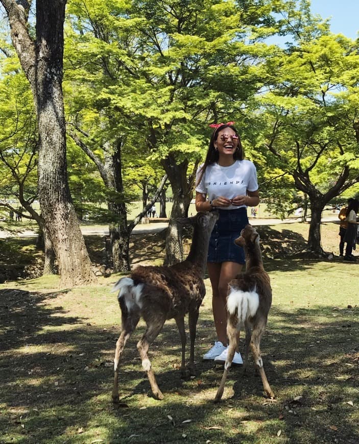 Lugar Nara Park