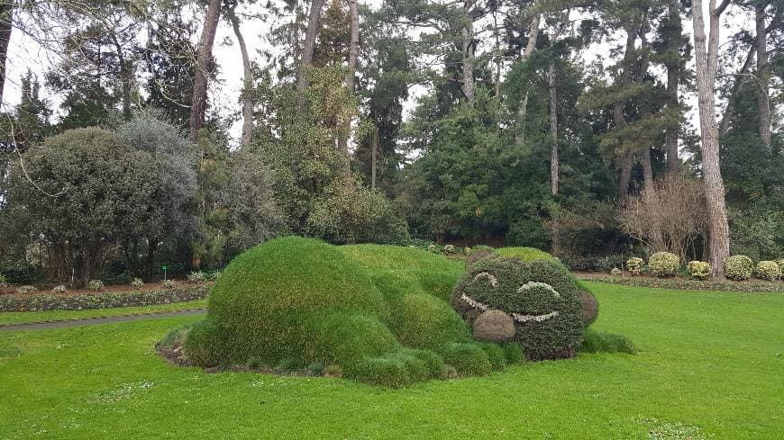 Place Jardin des Plantes