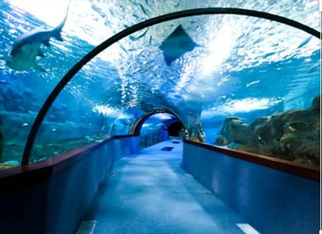 Place Aquarium