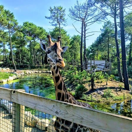 Place Zoo Arcachon Basin