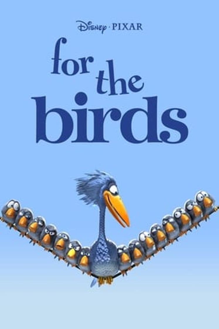 Movie For the Birds