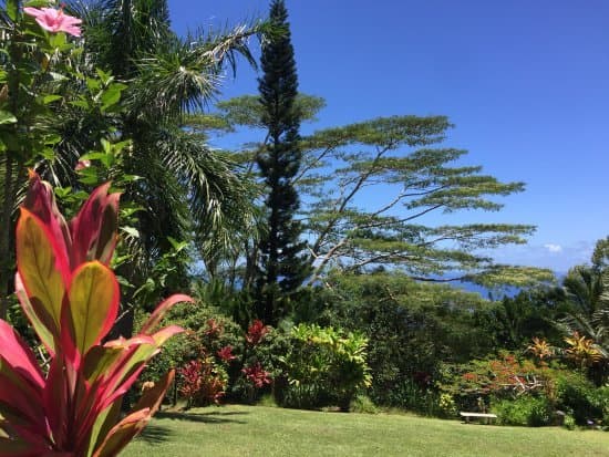 Lugar Garden of Eden Arboretum