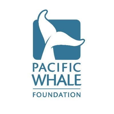 Moda Pacific Whale Foundation | Helping Protect Our Oceans