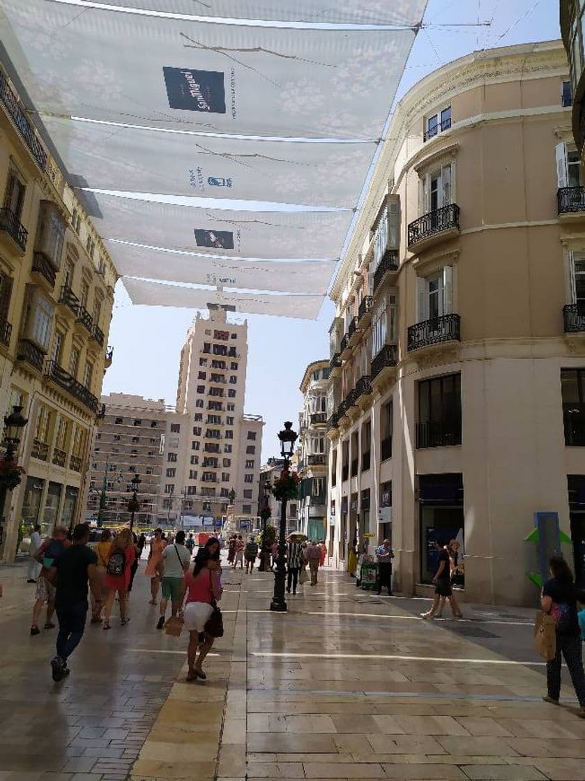 Place Calle Larios