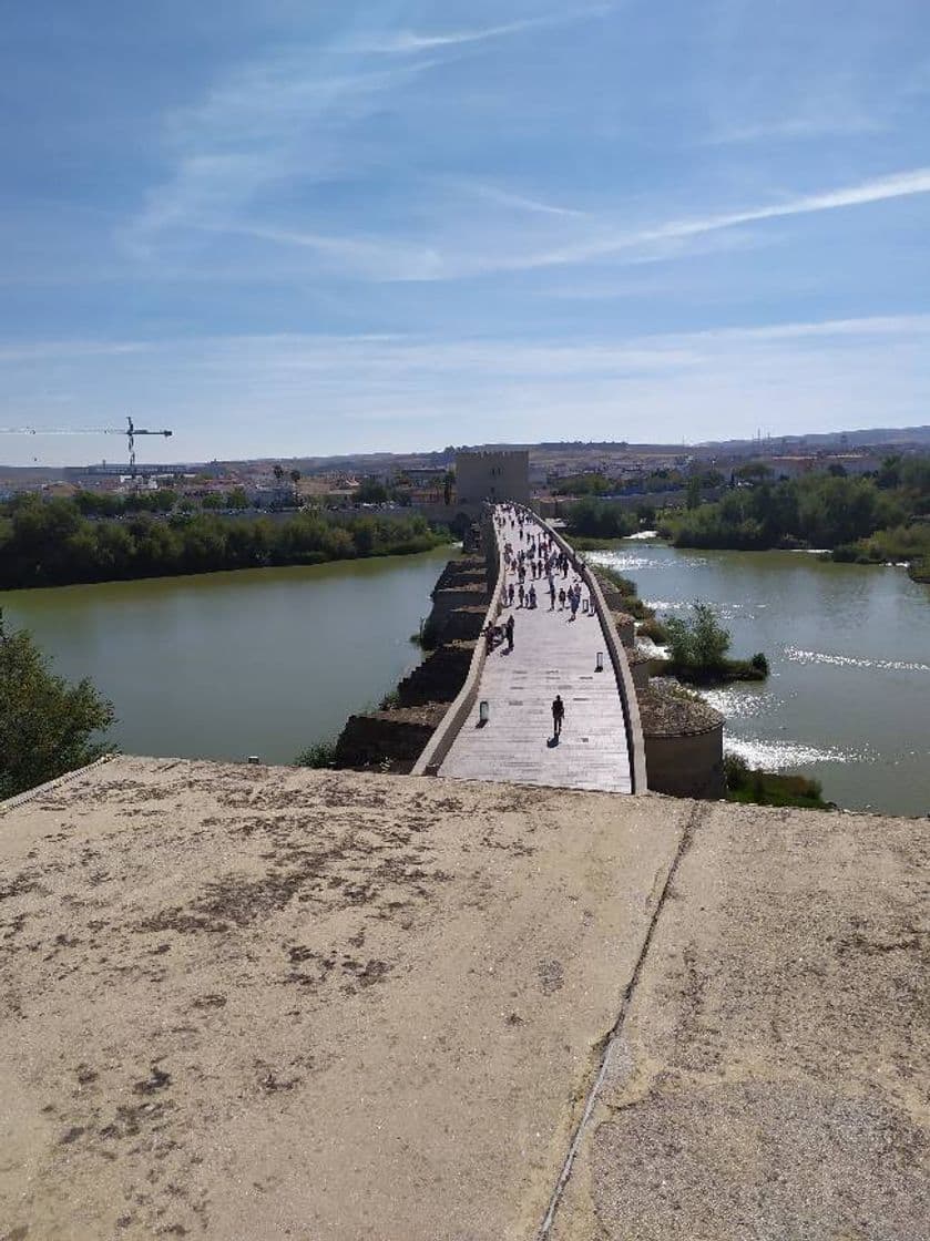 Place Puente Romano de Córdoba