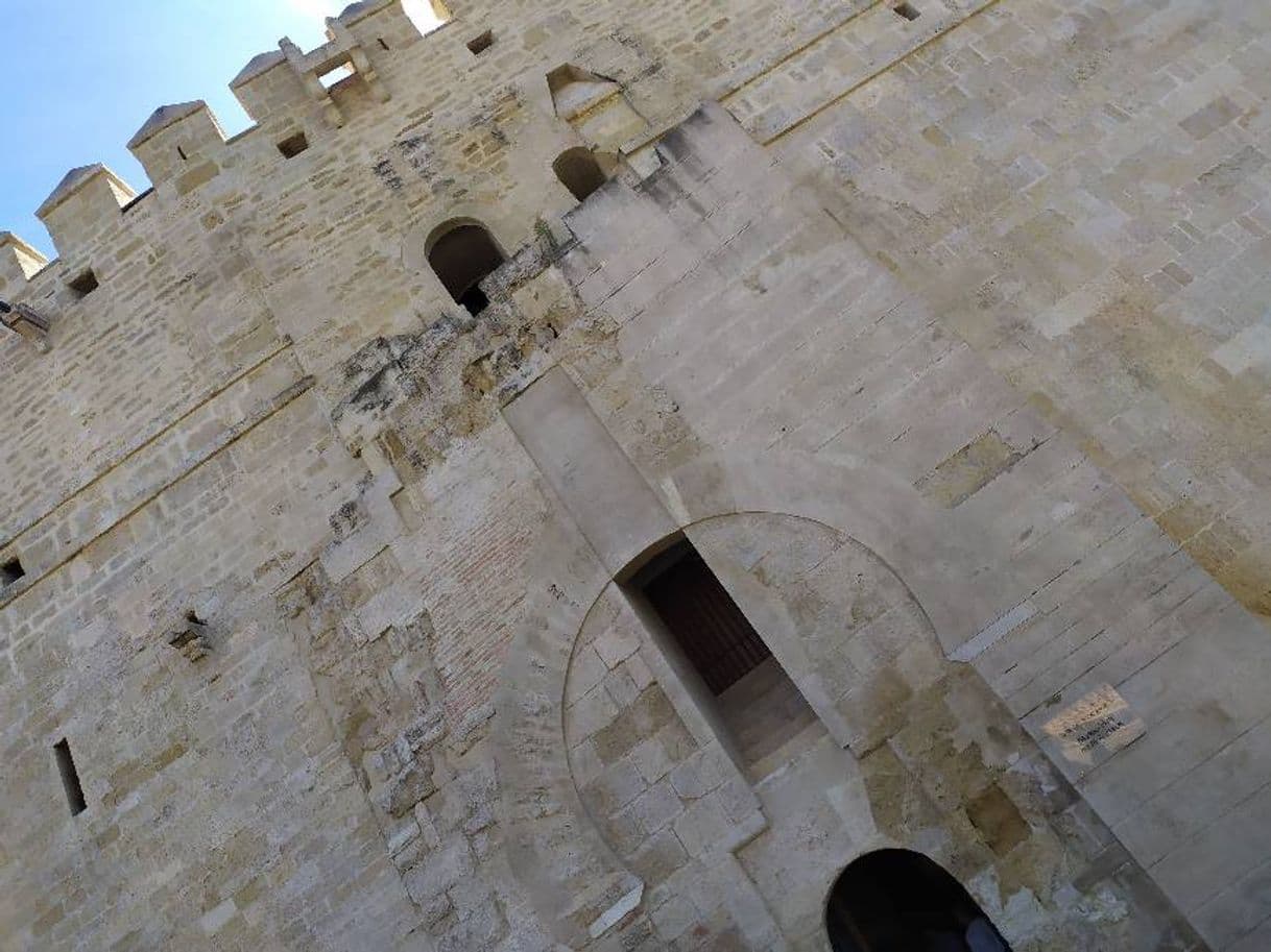 Place Torre De Calahorra