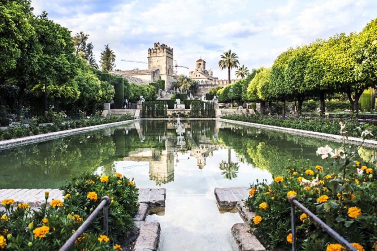 Place Alcázar de los Reyes Cristianos