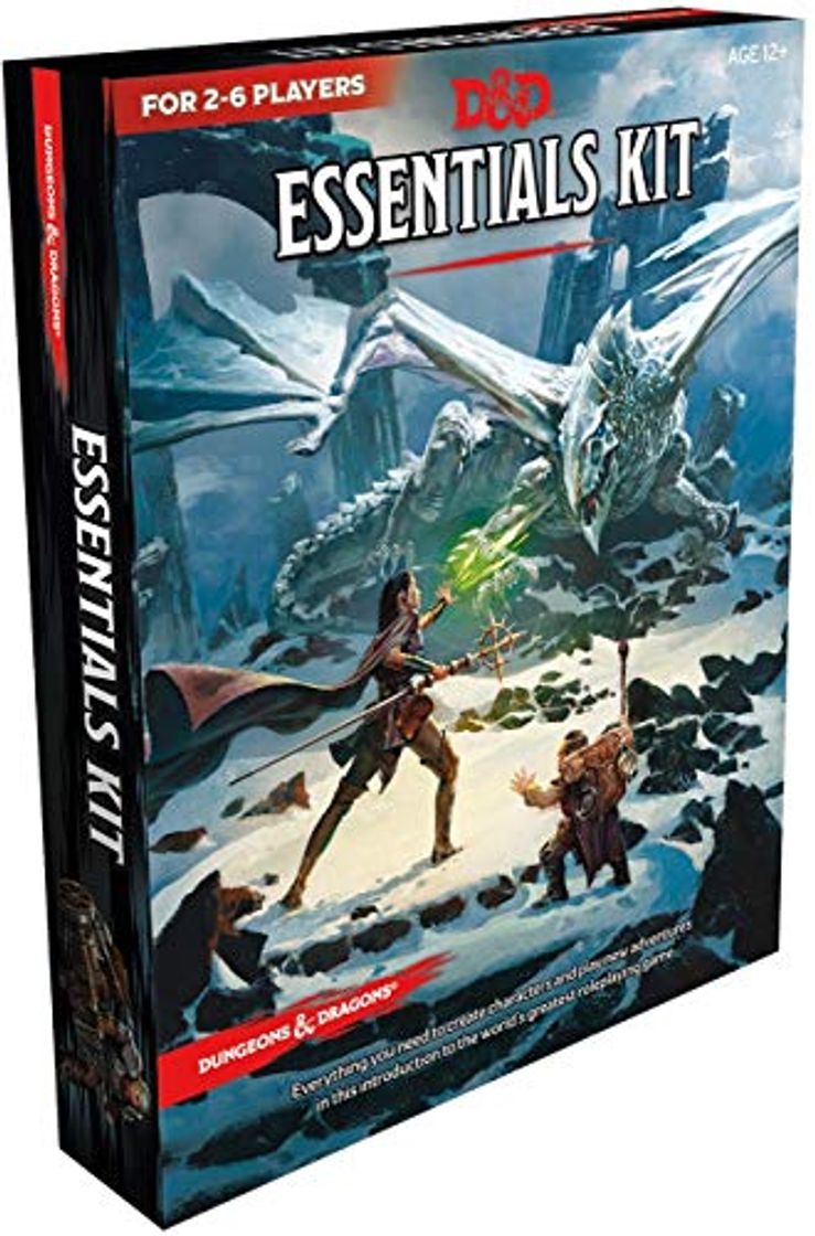 Product Dungeons & Dragons C70080000 Essentials Kit