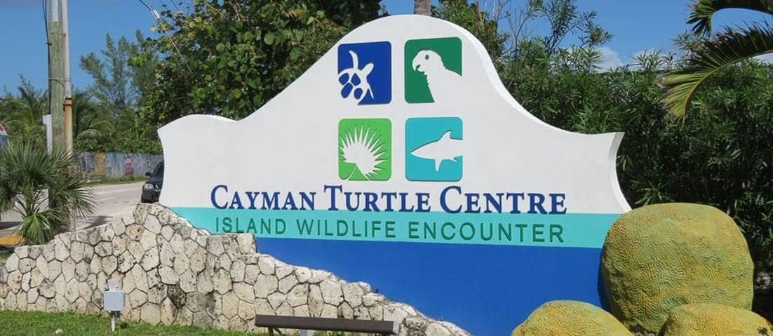 Place Cayman Turtle Centre