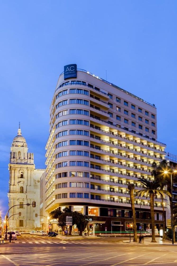 Lugar Hotel Málaga Palacio