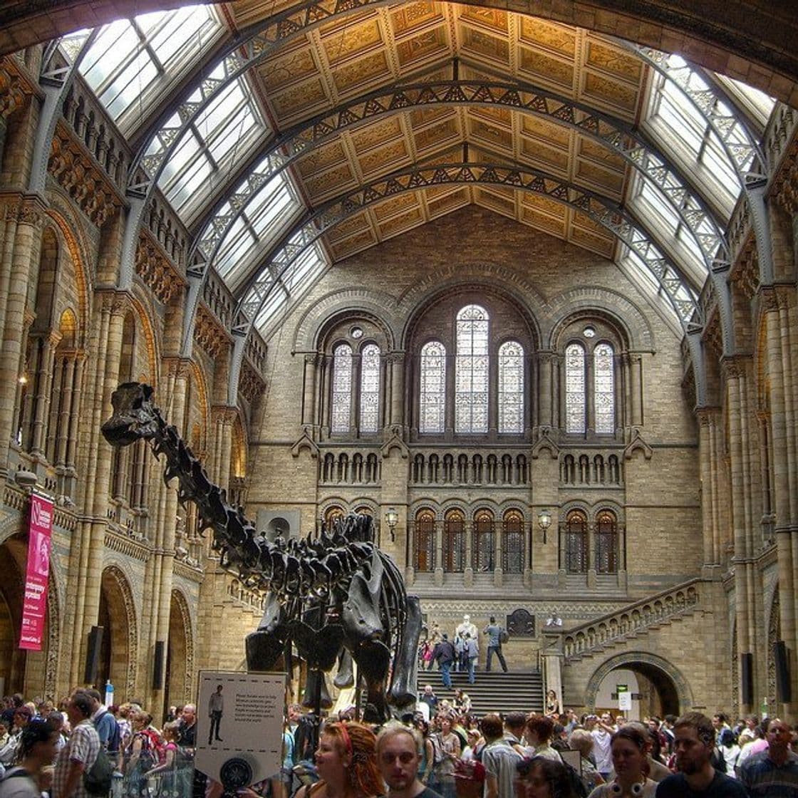 Place Natural History Museum