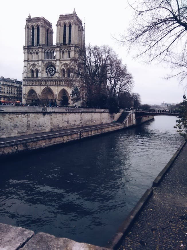 Place Notre Dame