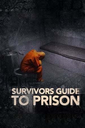 Movie Survivor's Guide to Prison