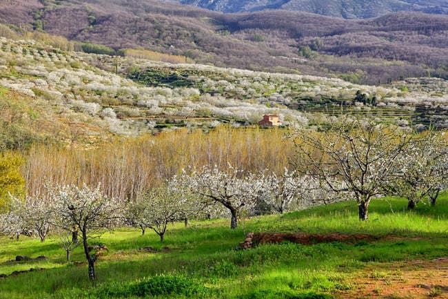 Place Valle del Jerte