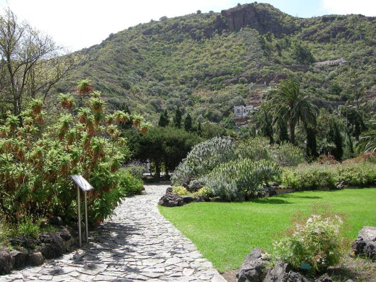 Lugar Jardin Botanico