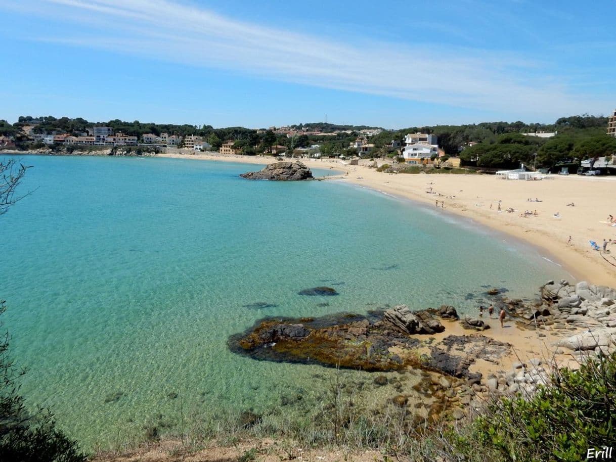 Place Playa de la Fosca