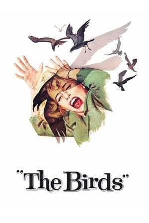 Película The Birds