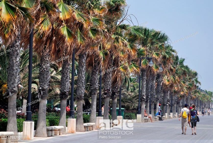 Place Paseo Neptuno