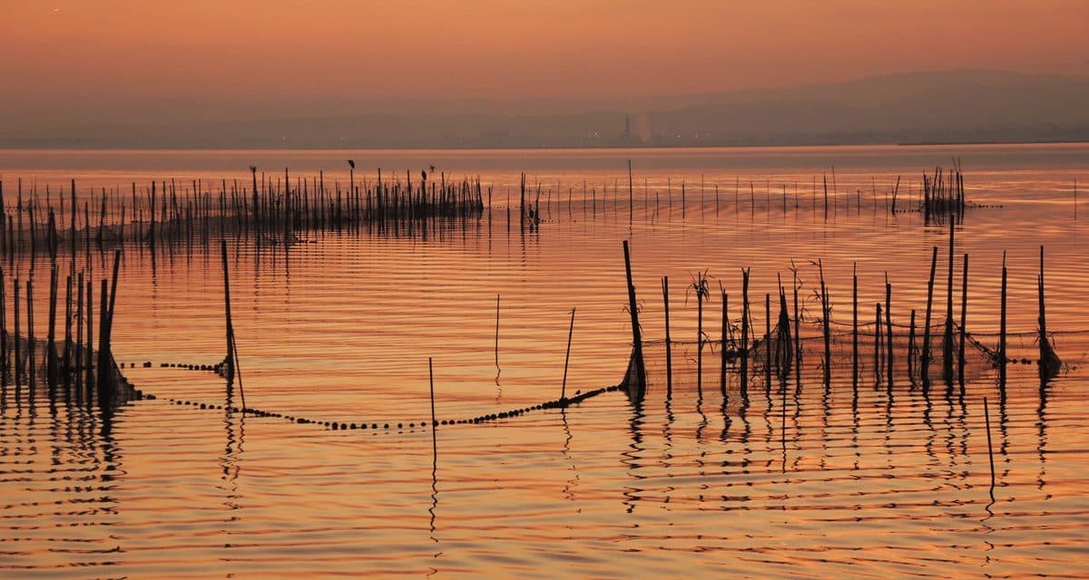 Place Albufera de Valencia