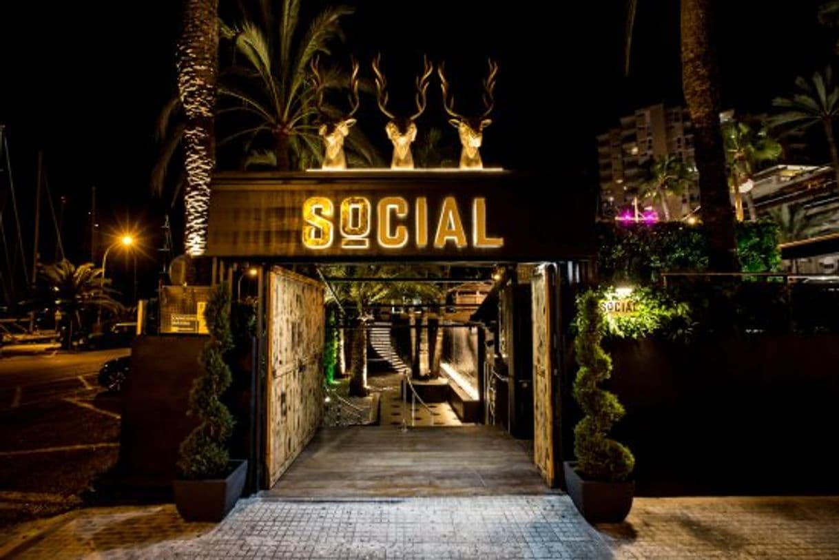 Lugar Social Club Mallorca