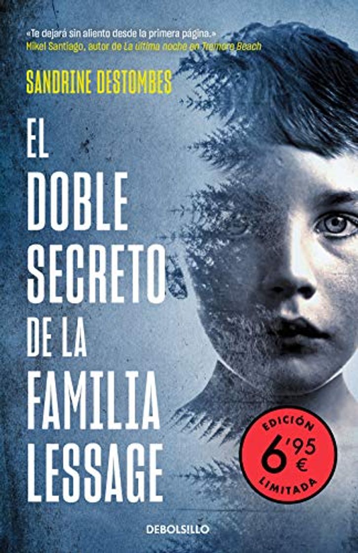 Book El doble secreto de la familia Lessage