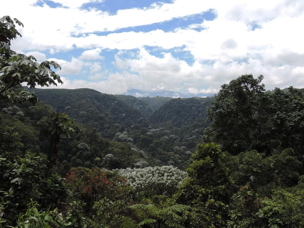 Place MIRADOR DEL BARBAS