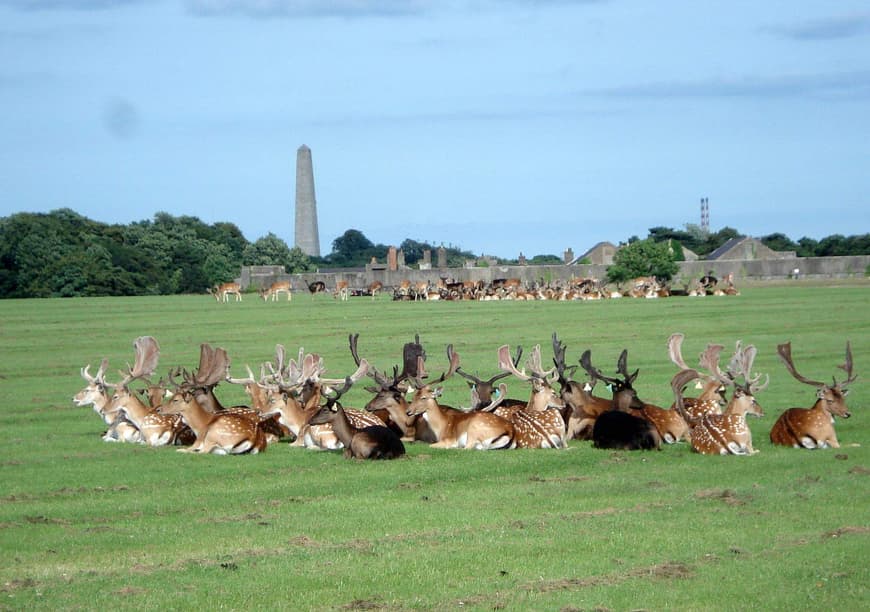 Place Phoenix Park