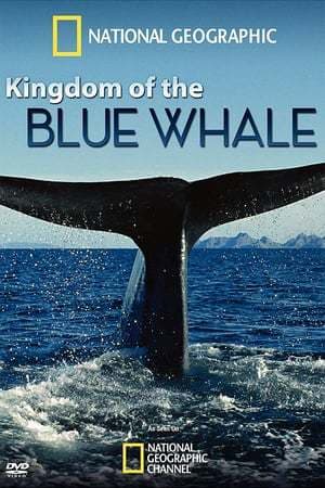 Película Kingdom of the Blue Whale