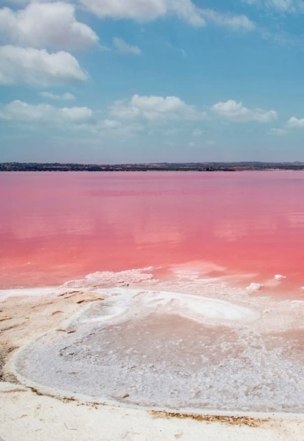 Lugar Torrevieja Pink Lake