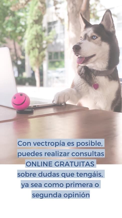 Fashion Consultas online gratuitas tu veterinaria 24/7