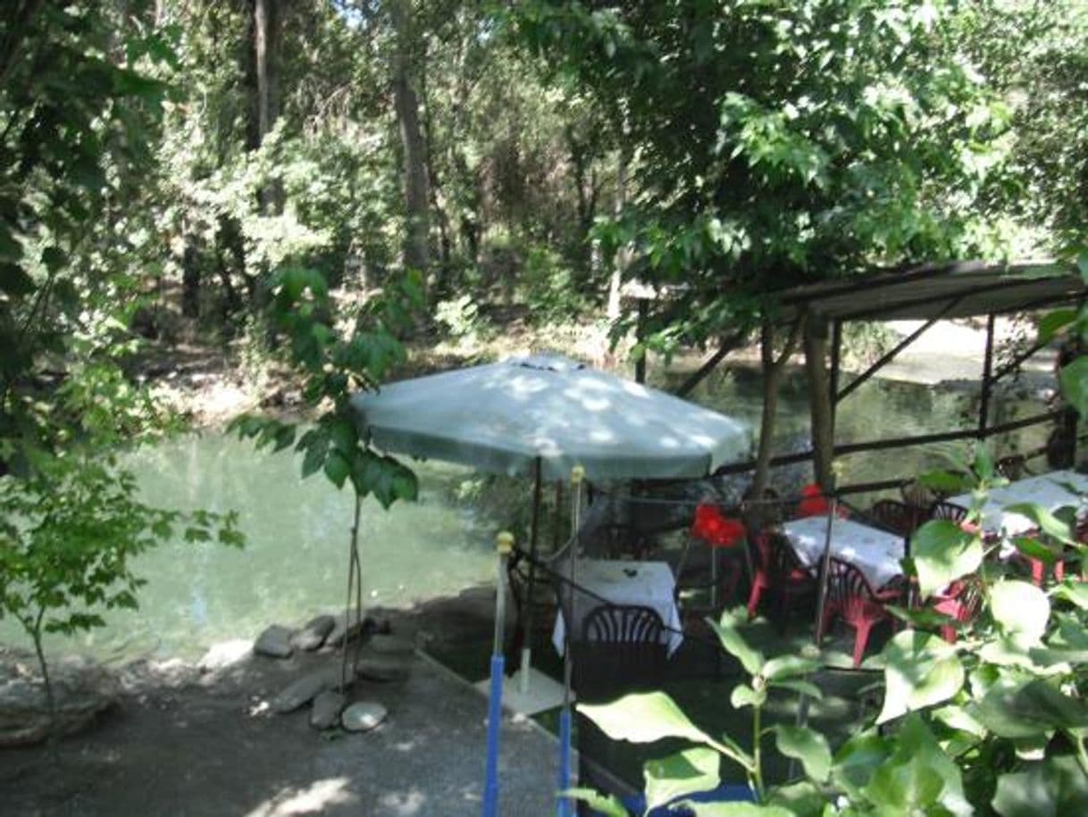 Restaurants Restaurante La Fabriquilla