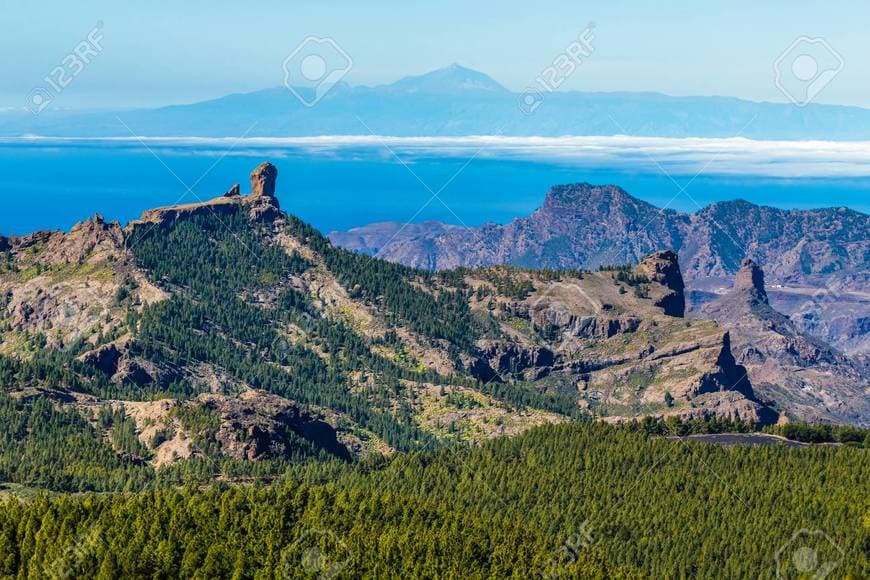 Place Roque Nublo