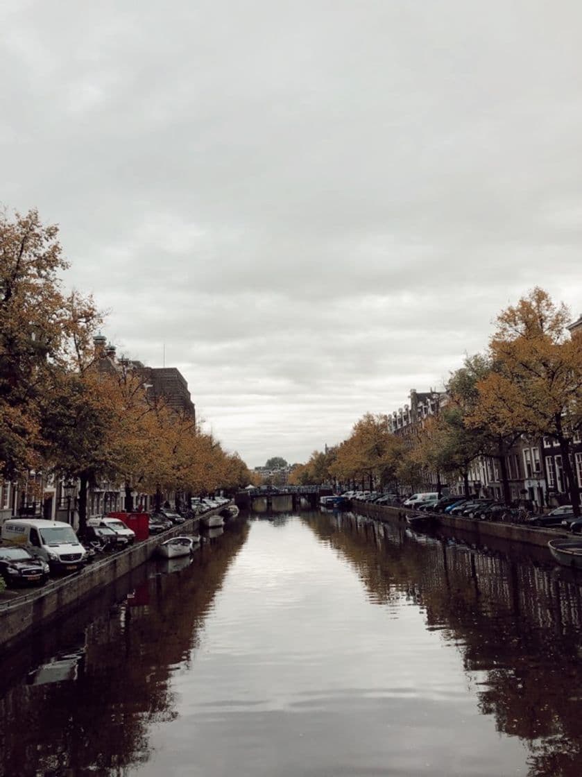 Lugar Canales de Ámsterdam