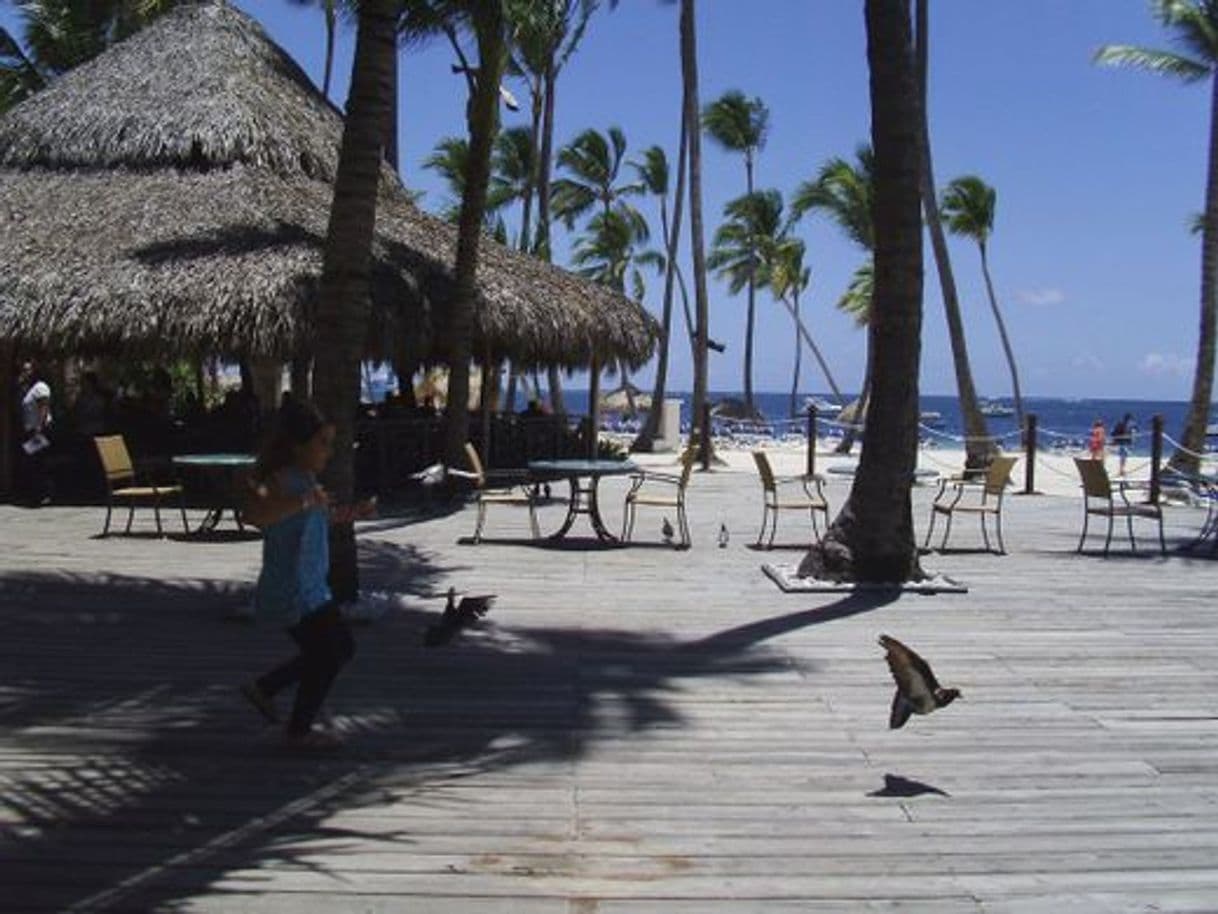 Place Hotel Barcelo Bavaro Grand Resort