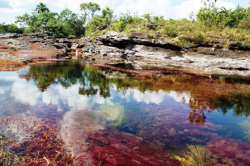 Place Caño Cristales