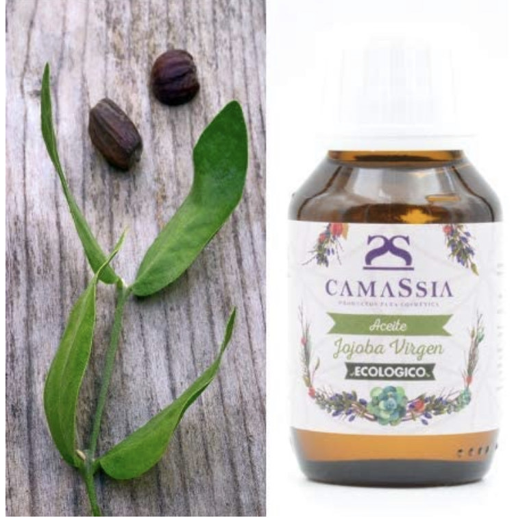 Moda Aceite de Jojoba virgen BIO