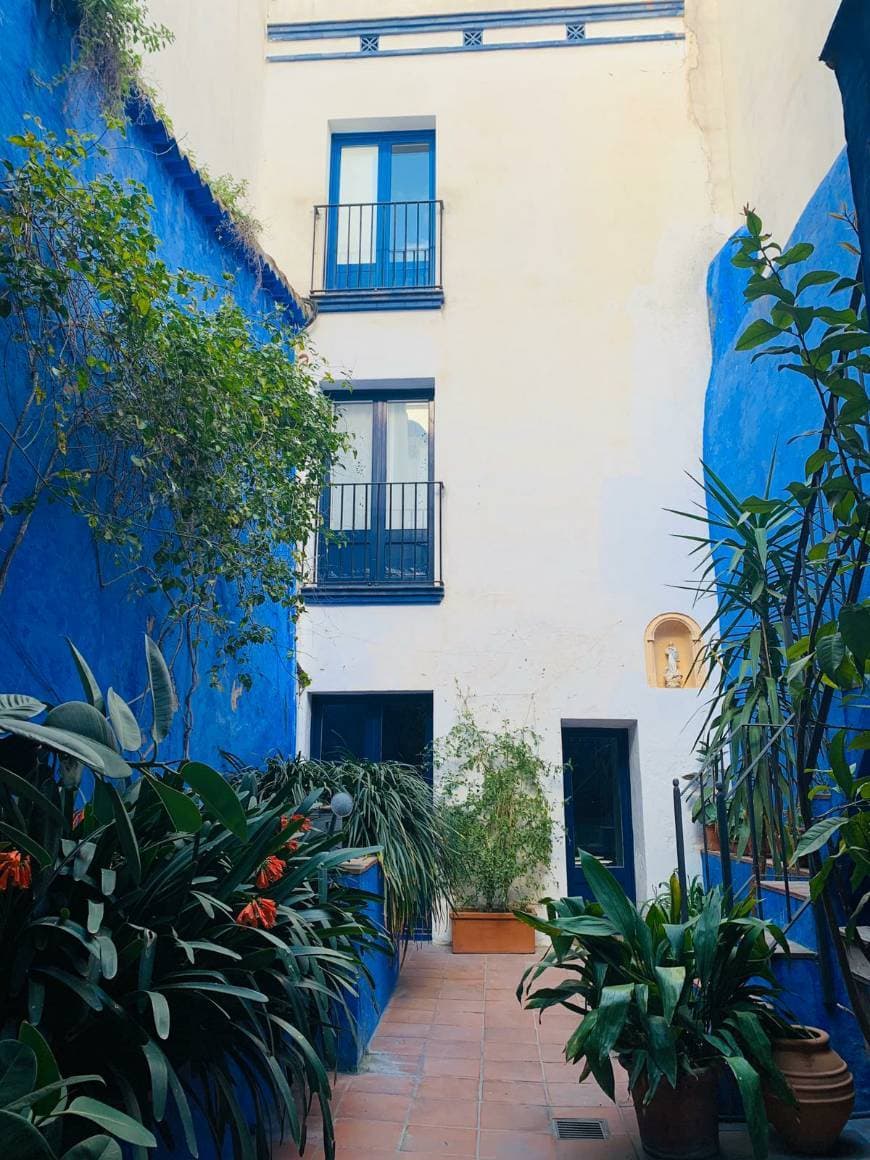 Lugar El Patio Azul