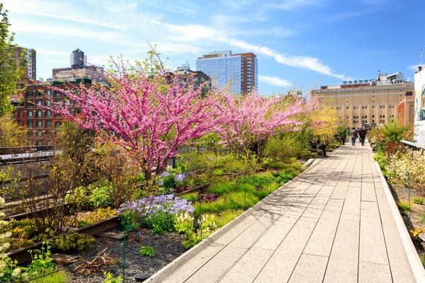 Place The High Line