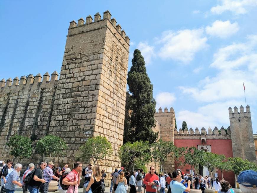 Place Alcazar de Sevilla