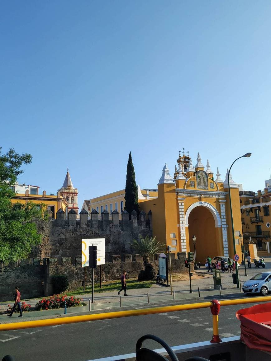 Place Basílica de la Macarena