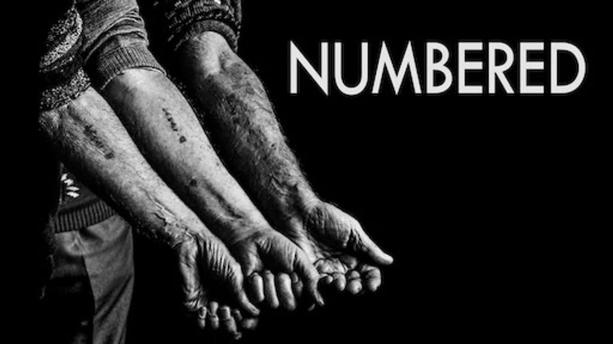 Película Numbered 