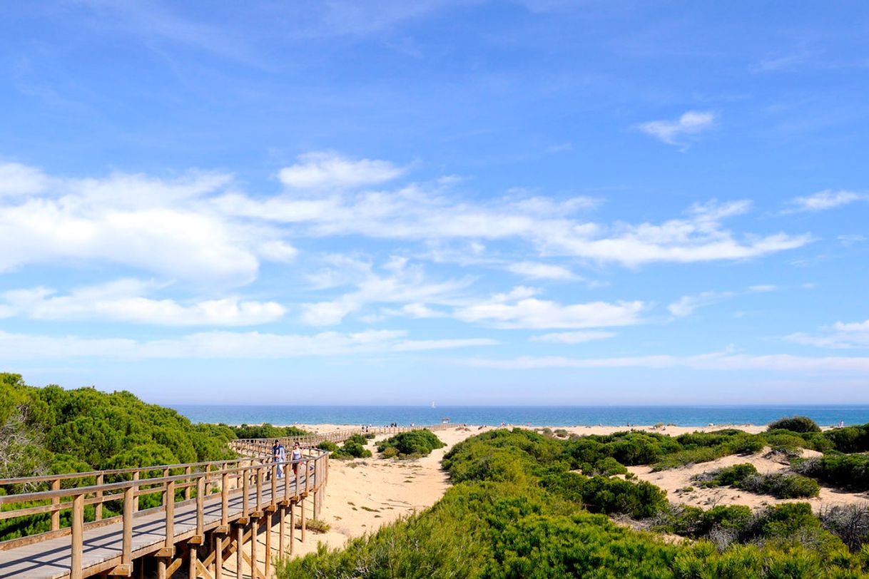 Place Playa Del Carabassí