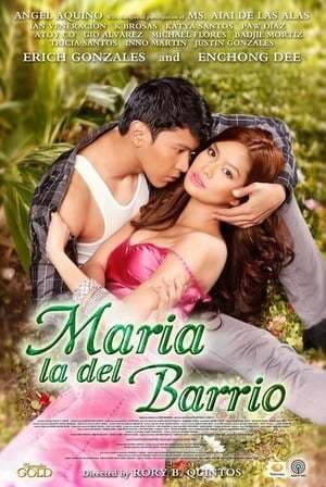 Serie María la del Barrio