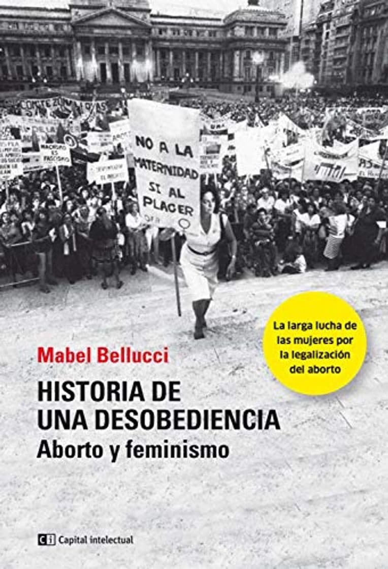 Book Historia de una desobediencia: Aborto y feminismo