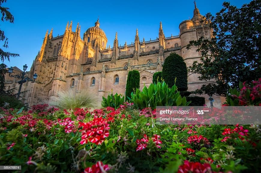 Place Catedral de Salamanca