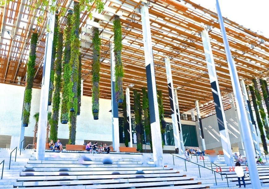 Place Pérez Art Museum Miami