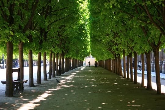 Place Palais-Royal